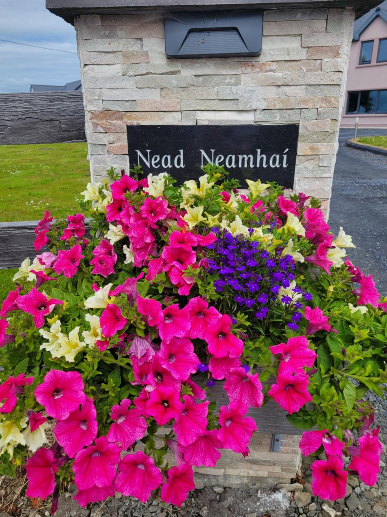 Apartment Nead Neamhai Killarney