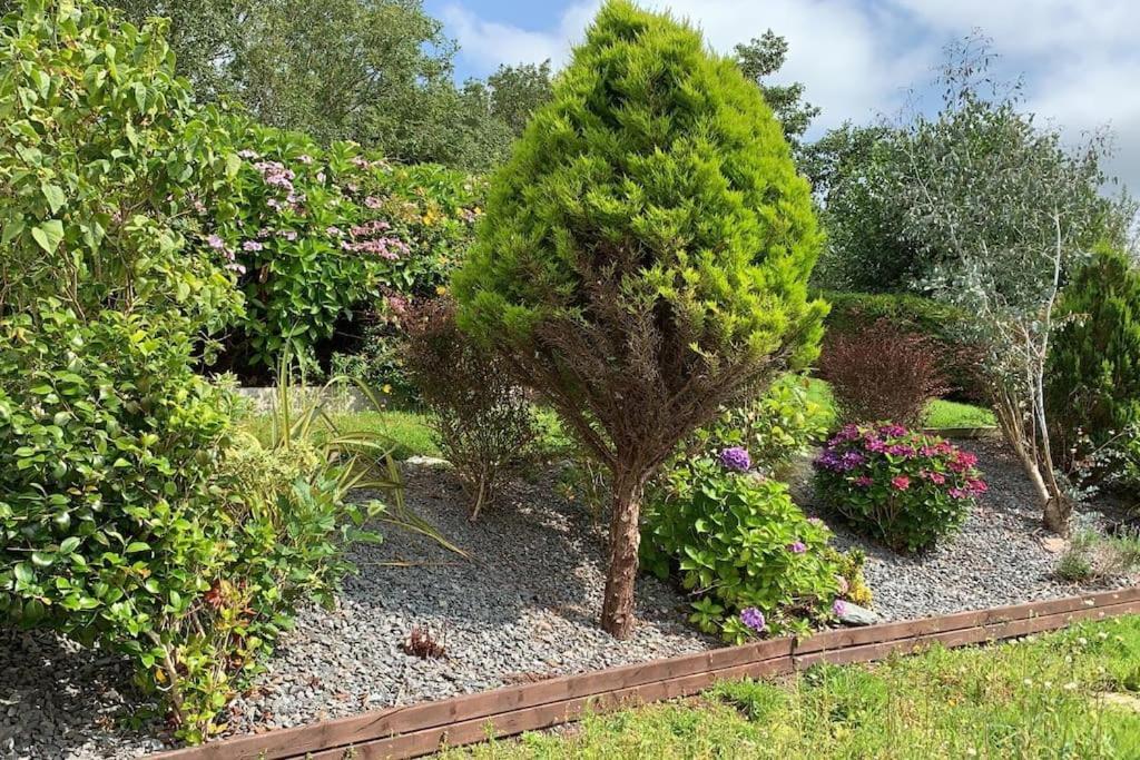 Holiday home Greenane House *