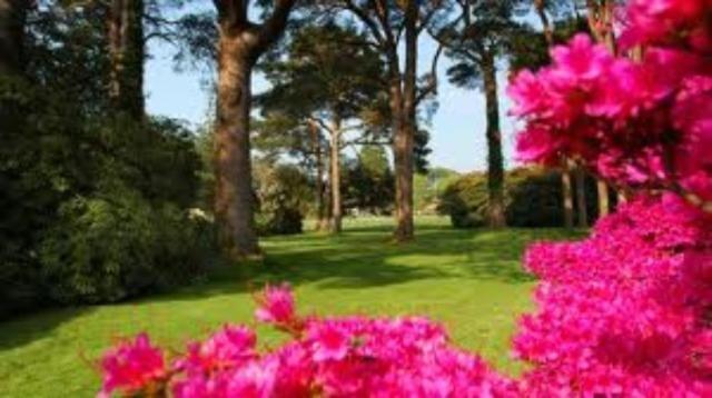 Irish Cottage Guest Accommodation 3*