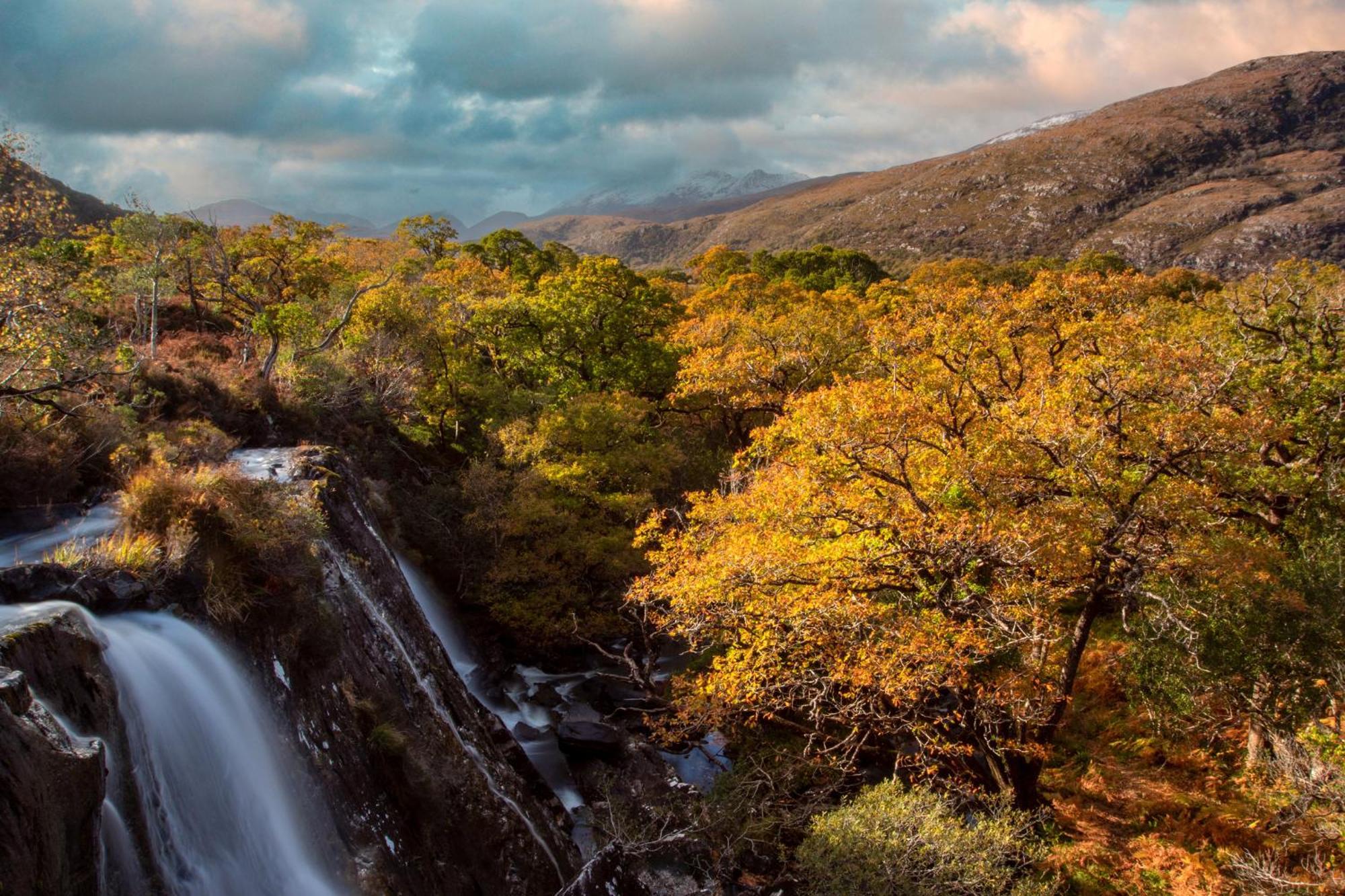 Heights Killarney