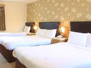 Guest house Castle 3*
