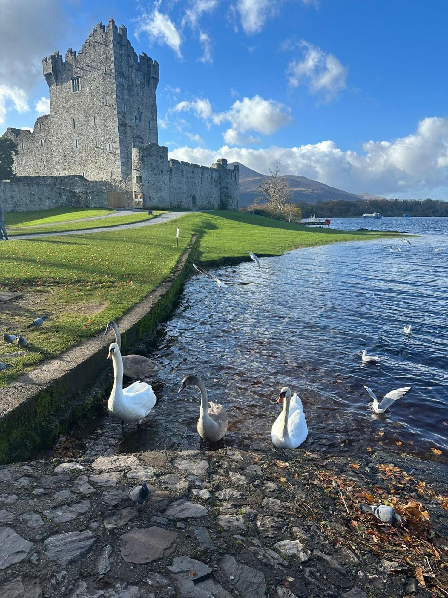 3 Fair Hill House Centrally Located With Parking And Wifi Sleeps 6 * Killarney