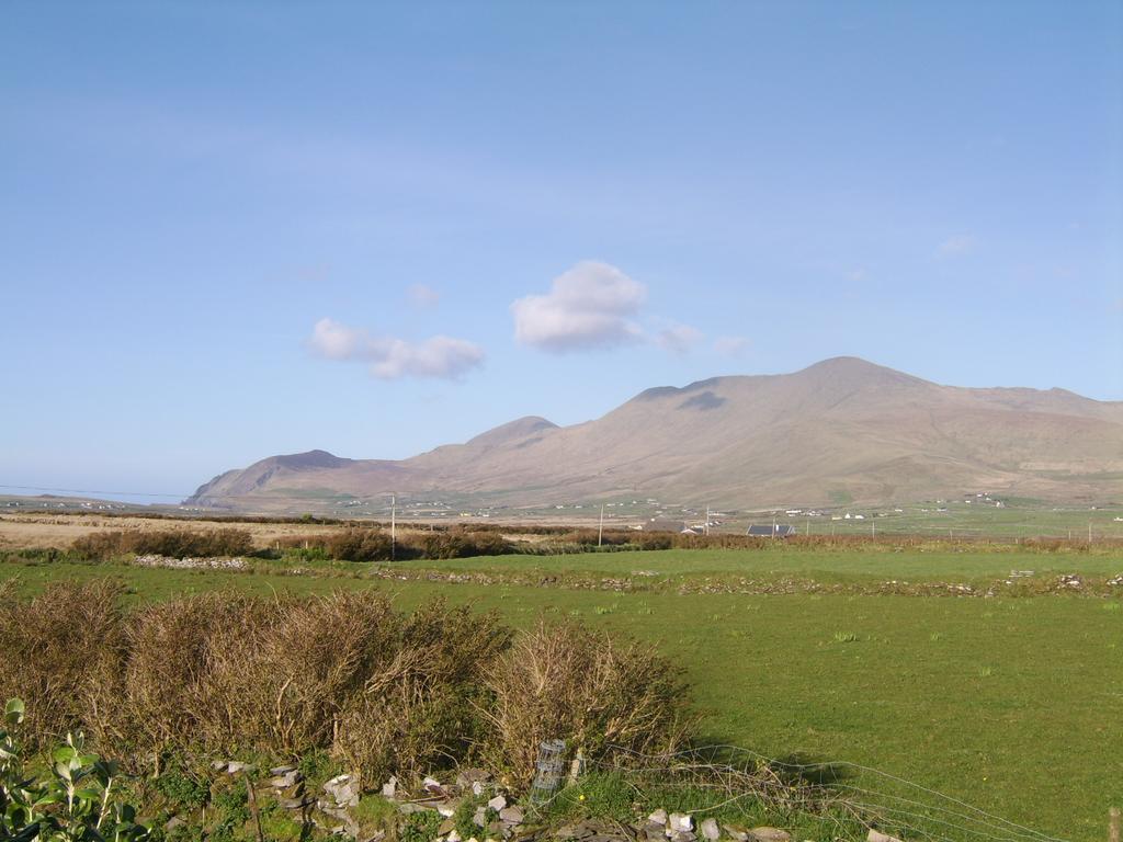 Bed & Breakfast An Dooneen, The Hurley Farm 3*