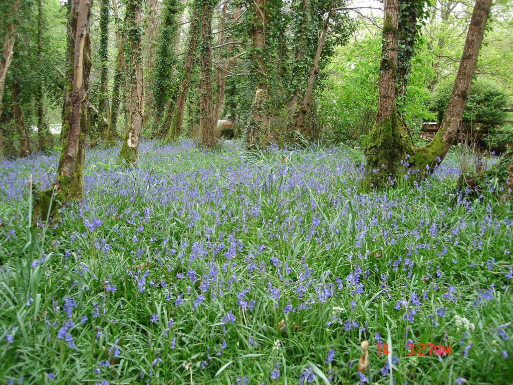 Gleann Fia Guest house