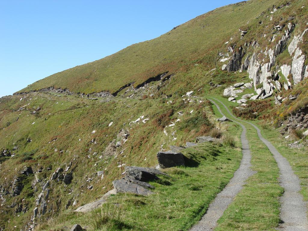 Gleann Fia Guest house Killarney