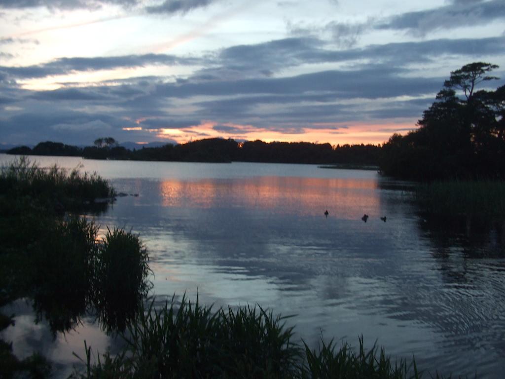 Bed & Breakfast Friary View Bed & Breakfast Killarney