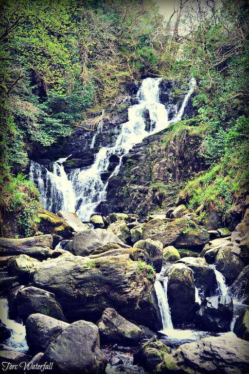 Dromhall Heights Killarney