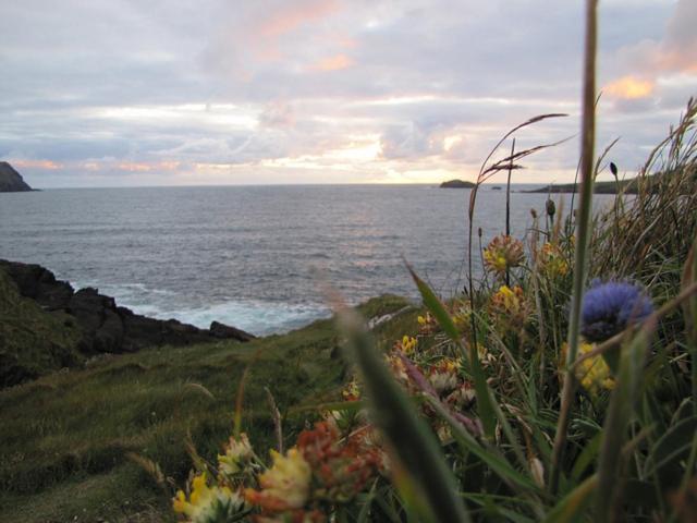 An Dooneen, The Hurley Farm