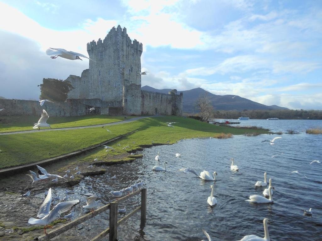 Kingdom View B&B 3* Killarney