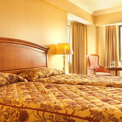 Towers & Leisure Centre Hotel 4*