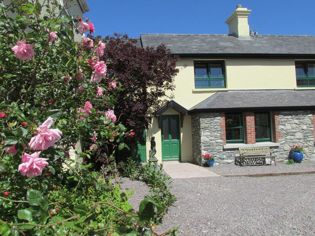 Bed & Breakfast Carriglea House