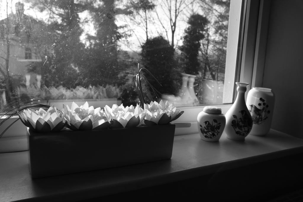 Bed & Breakfast Rockfield House 2*