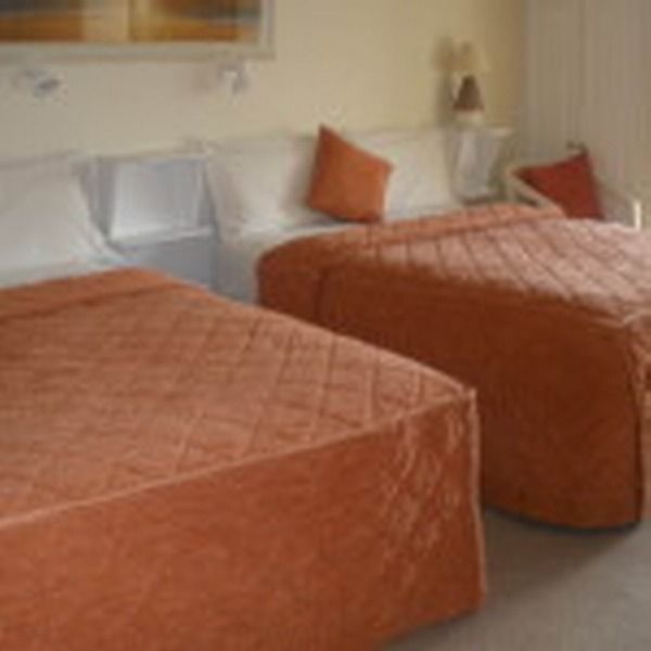 Springfield 5*