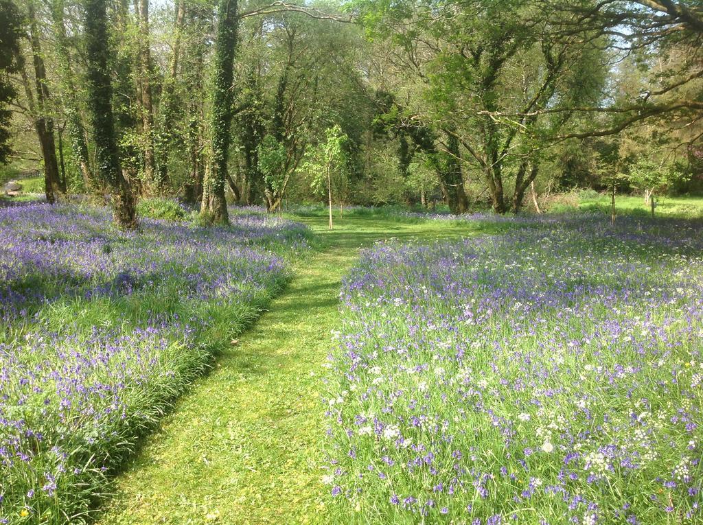 Guest house Gleann Fia 4*