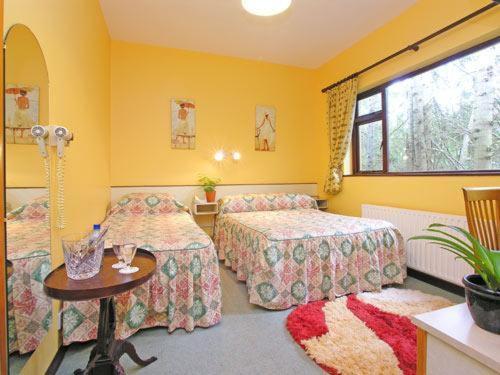 Guest house 19th Killarney