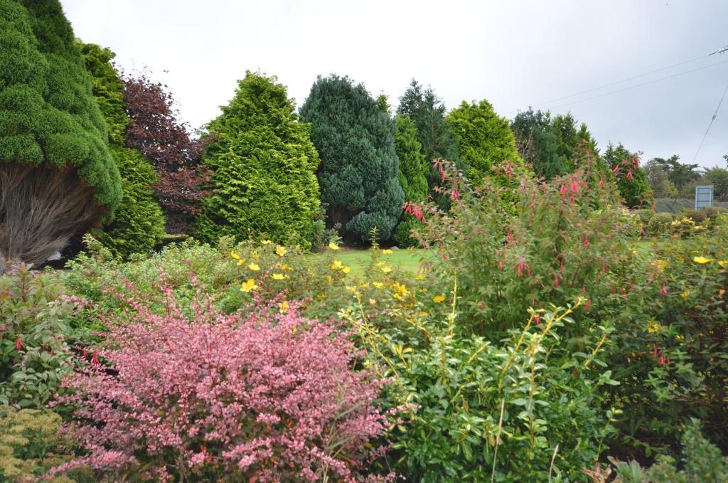 Gormans Country Home Hotel