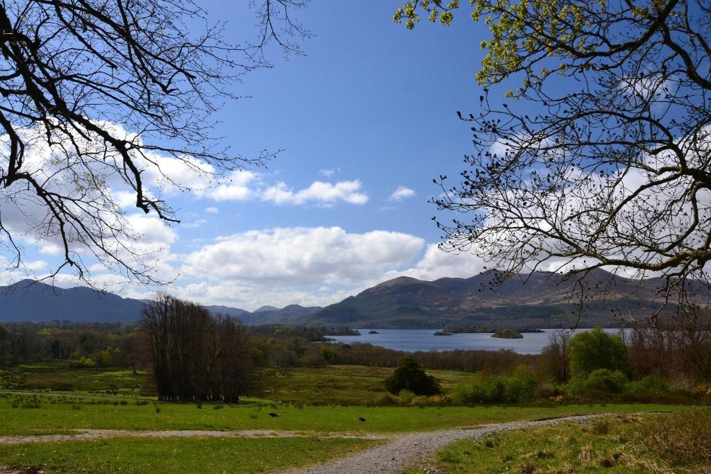 Killarney International Hostel Hostel