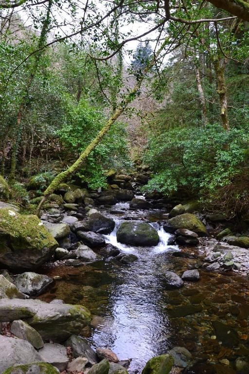 Hostel Killarney International Hostel Killarney