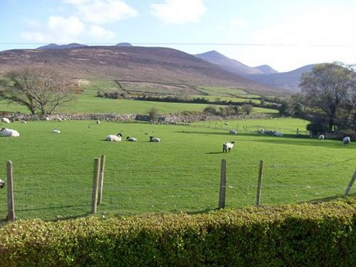 Kingdom View B&B 3* Killarney