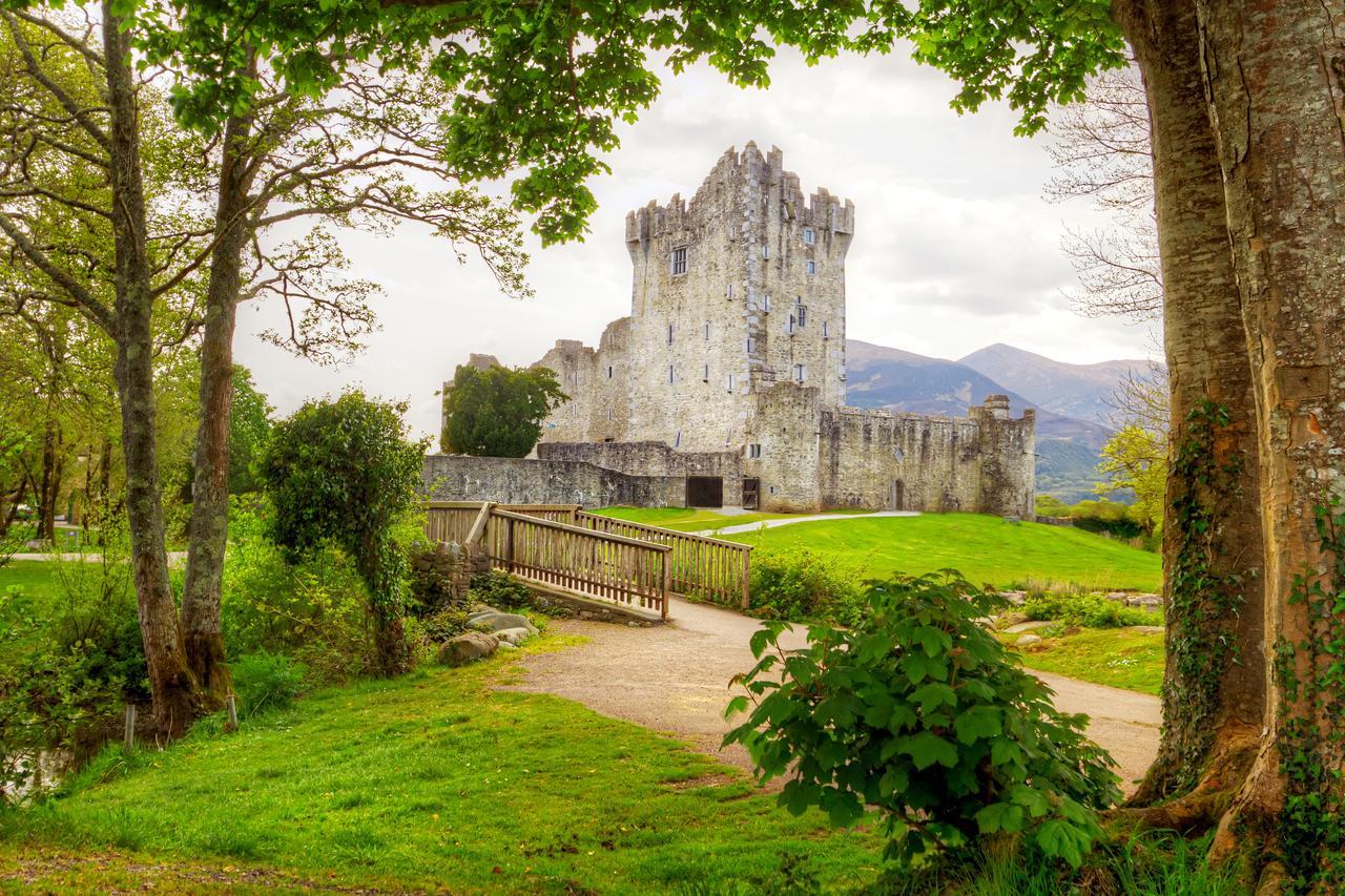 Muckross Park &