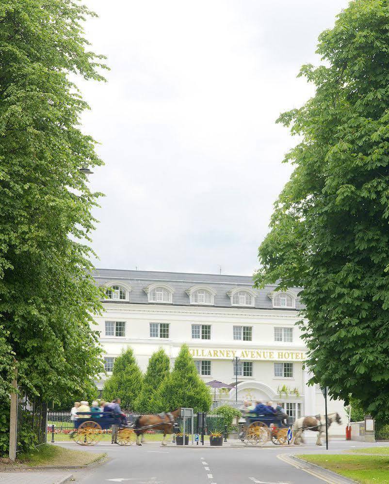 Avenue Killarney