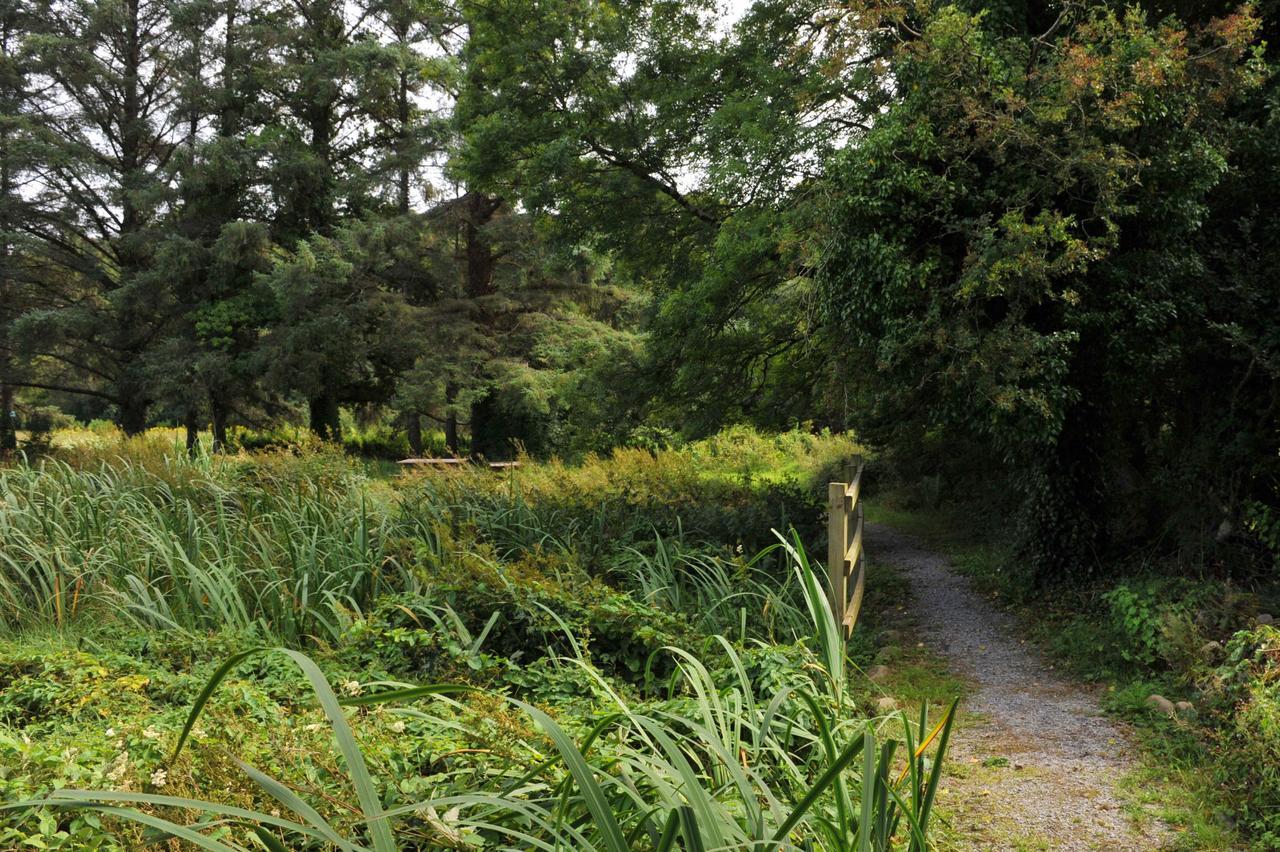 Luxury tent Killarney Glamping At The Grove, Suites And Lodges 2*