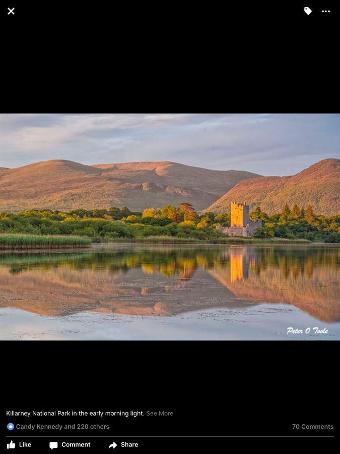 Cherry Tree Bed & Breakfast Killarney