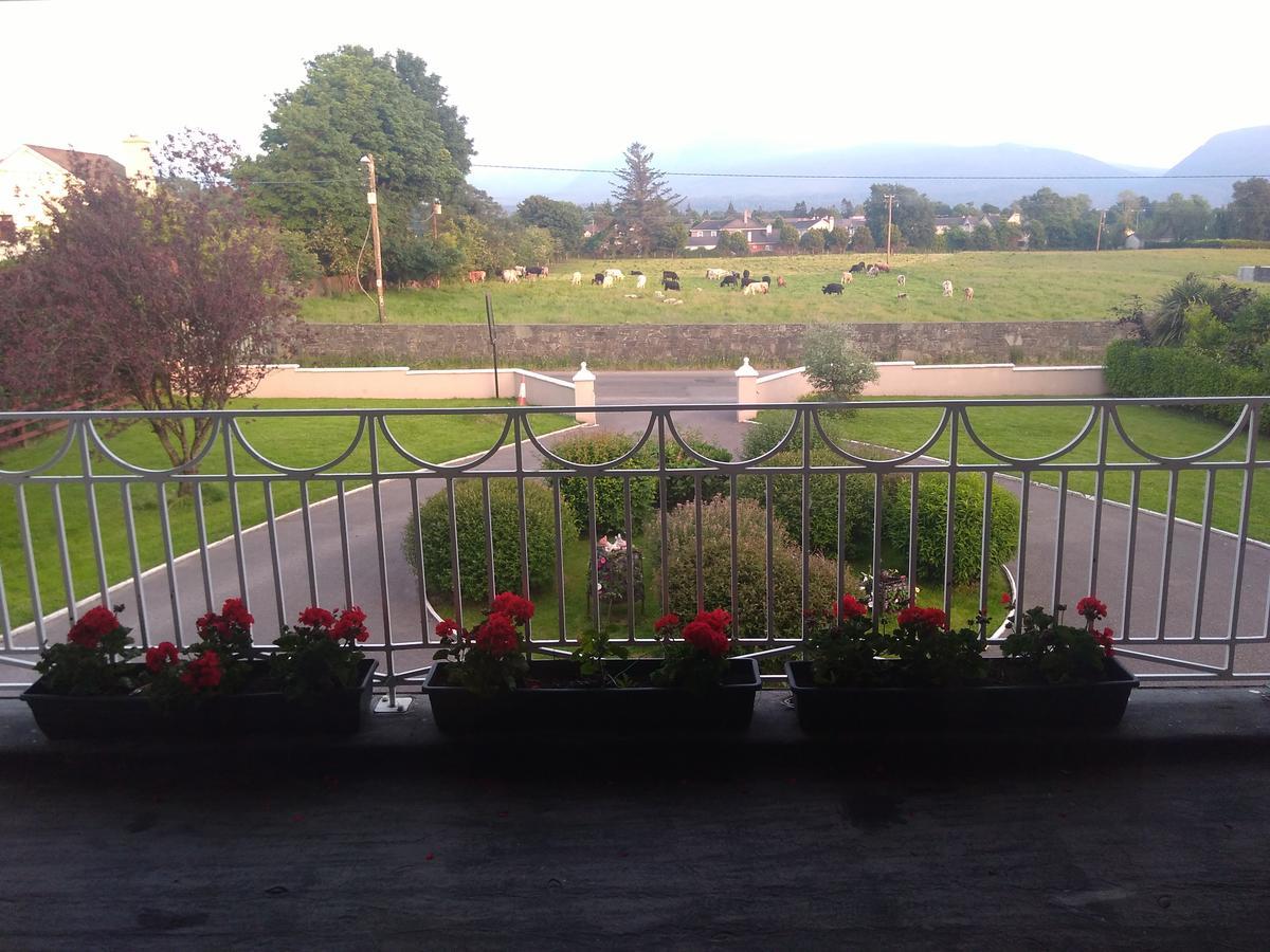 Shepherds * Killarney