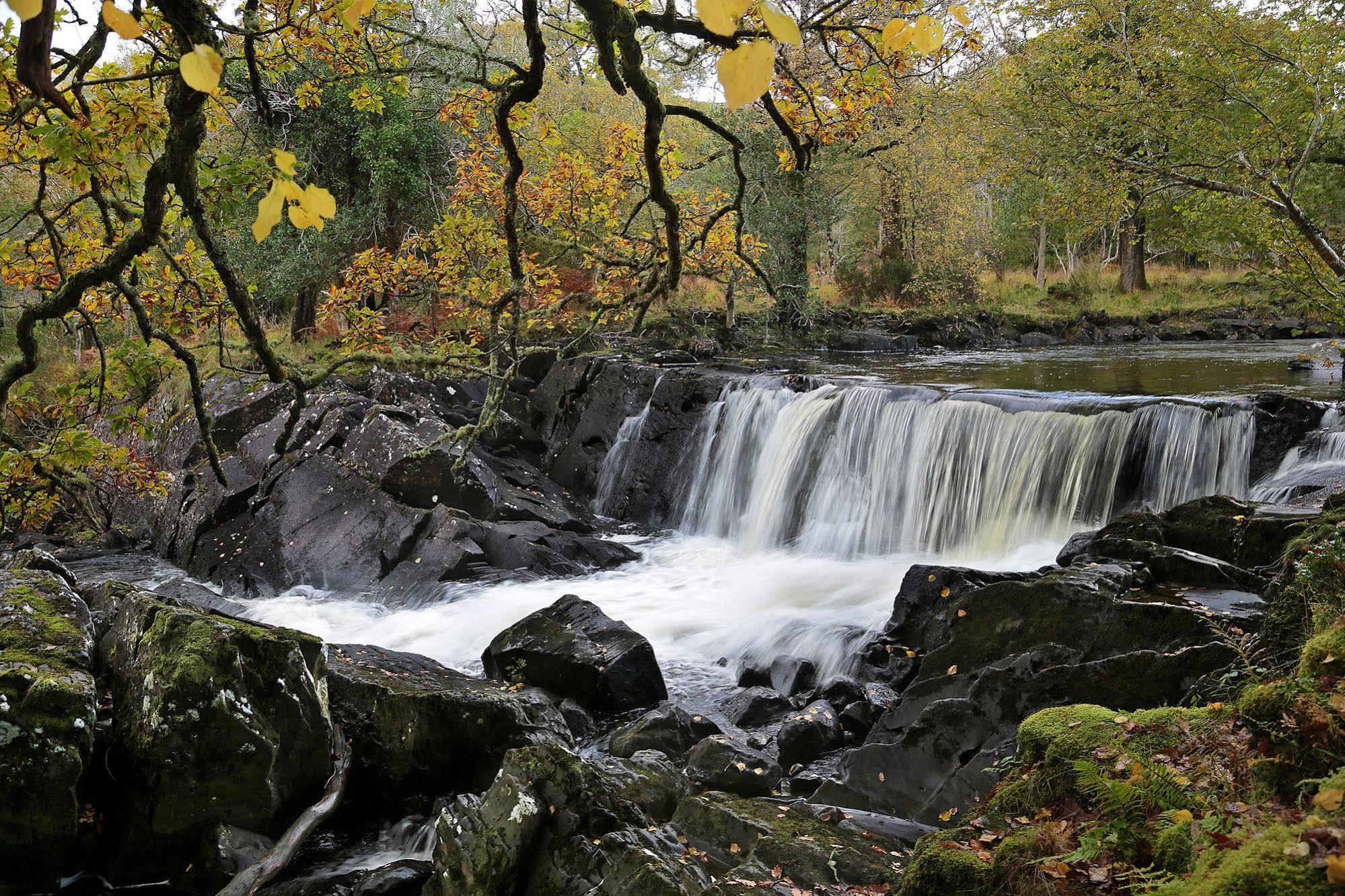 Innisfallen