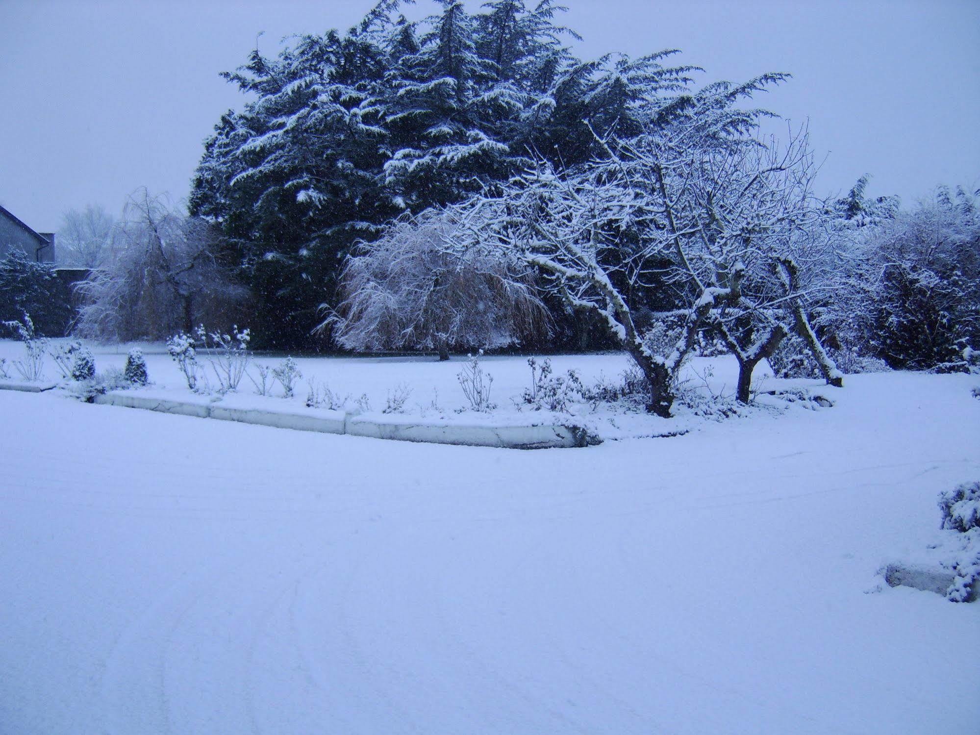 Bed & Breakfast The Gardens Killarney