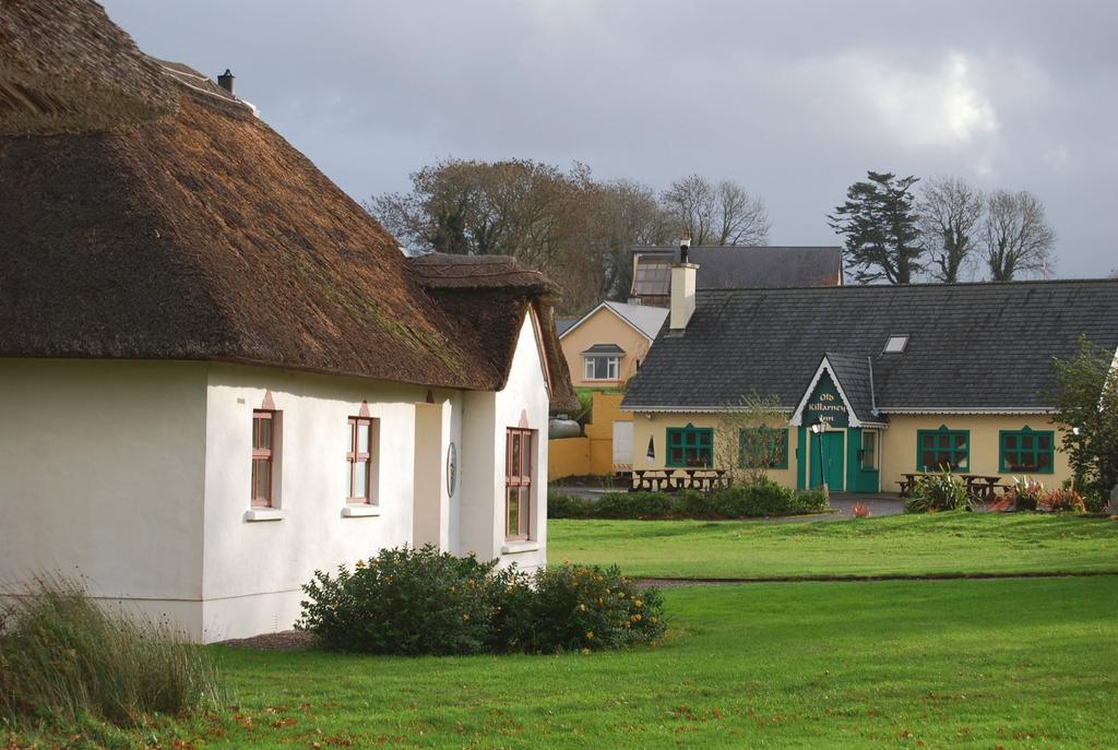 Old Holiday home *