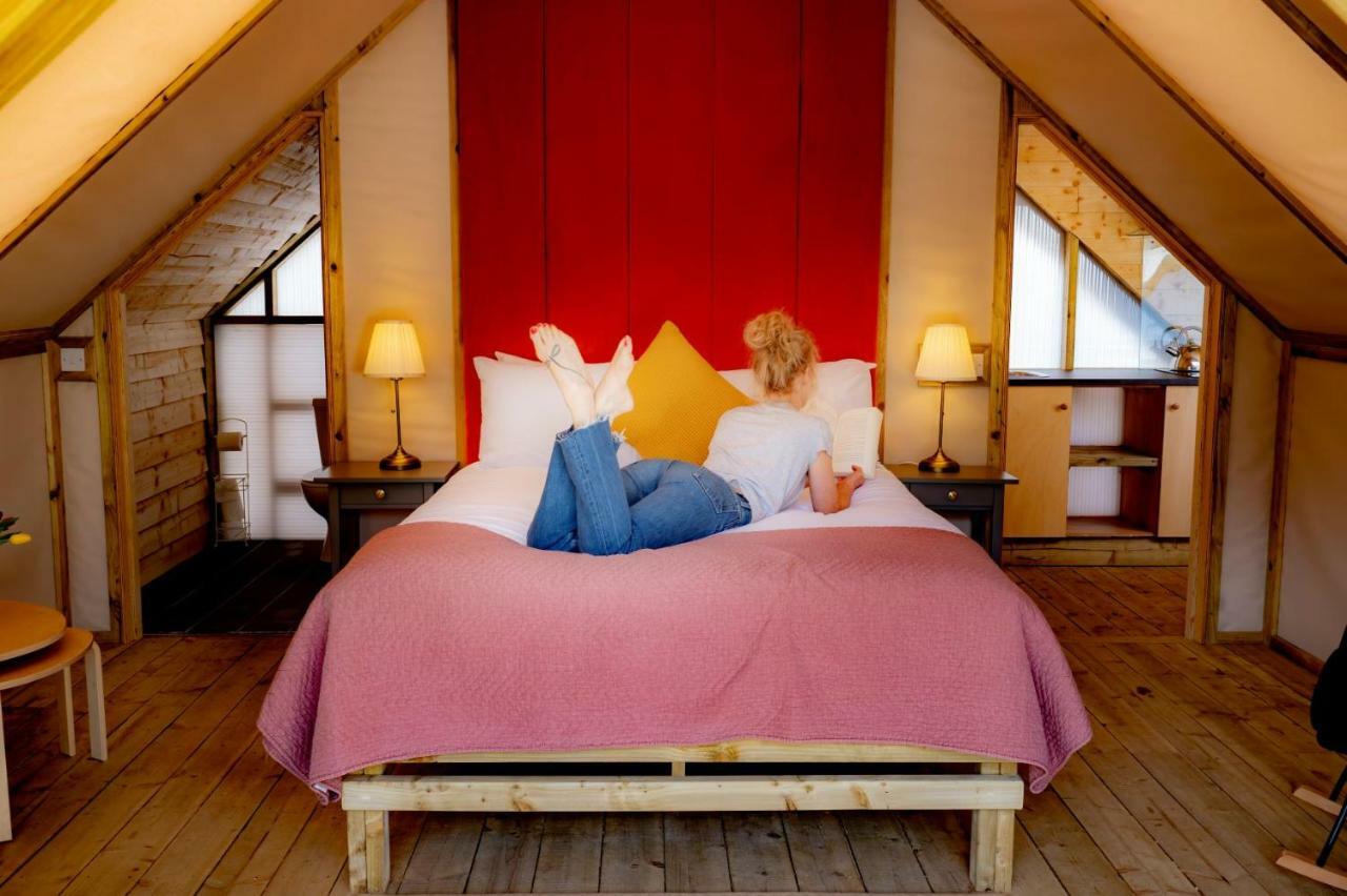 Luxury tent Killarney Glamping At The Grove, Suites And Lodges Killarney
