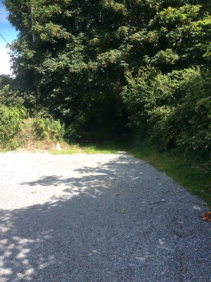 Saoirse * Killarney