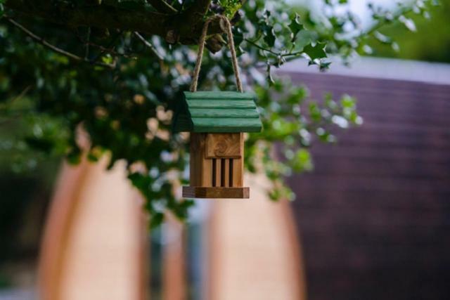 Farmyard Lane Glamping *