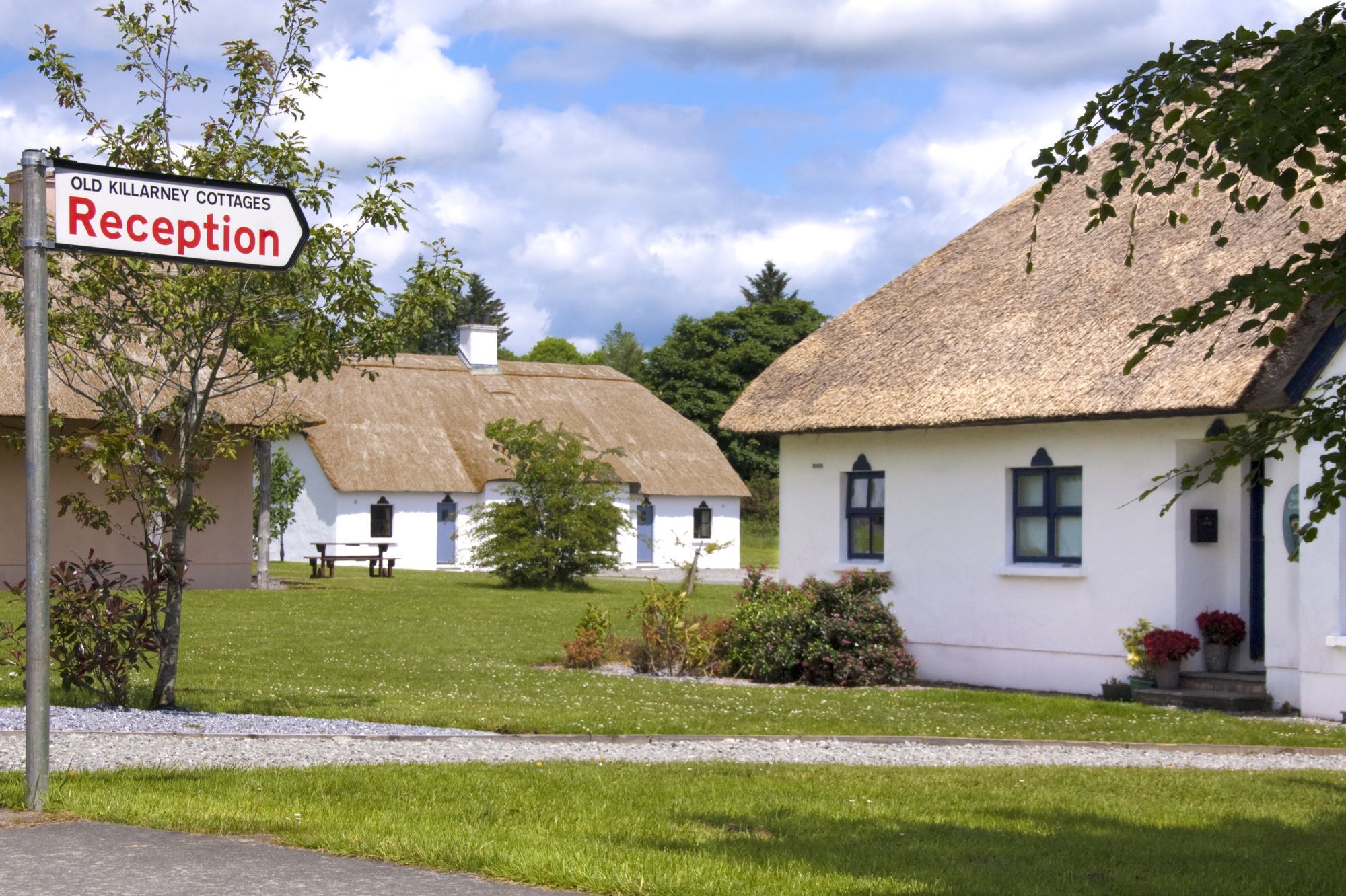 Hotel Old