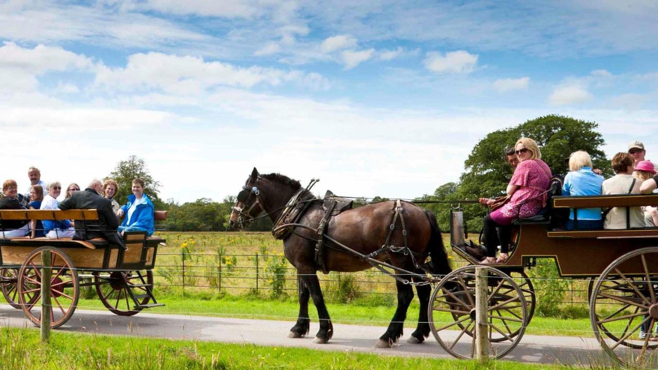 Muckross Park & Hotel 5*