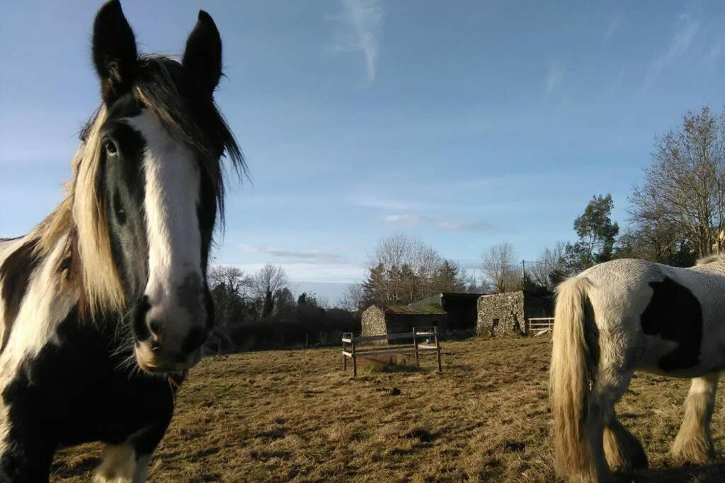 Woodford In Old Farm Holiday home *