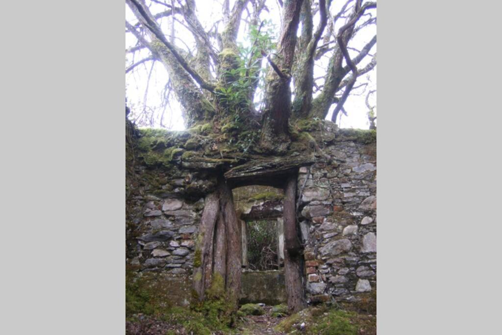 Woodford In Old Farm Killarney