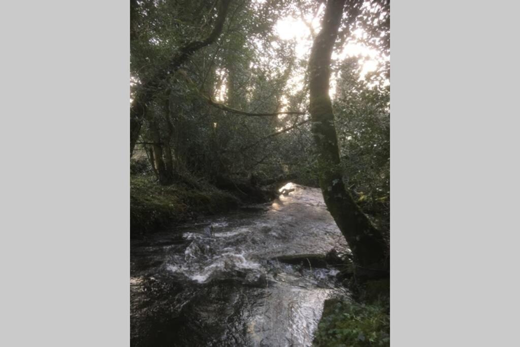 Woodford In Old Farm * Killarney