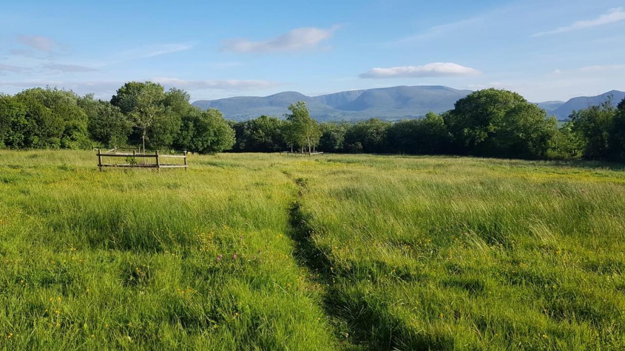 Woodford In Old Farm