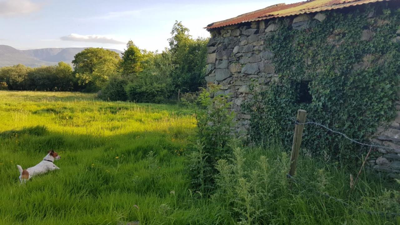 Woodford In Old Farm Holiday home *