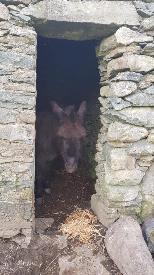 Woodford In Old Farm
