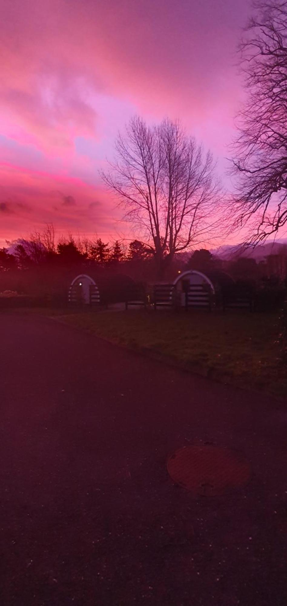 Priory Glamping Pods And Guest Campsite