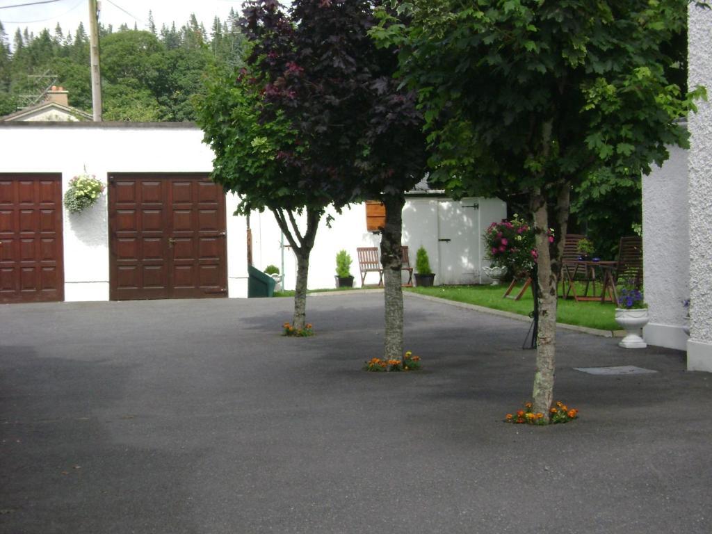 Saint Anthony's Bed & Breakfast