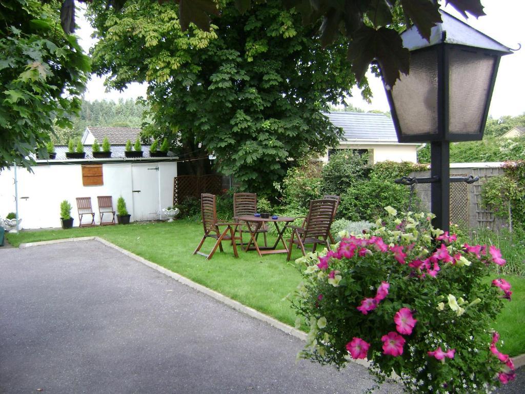 Bed & Breakfast Saint Anthony's Killarney