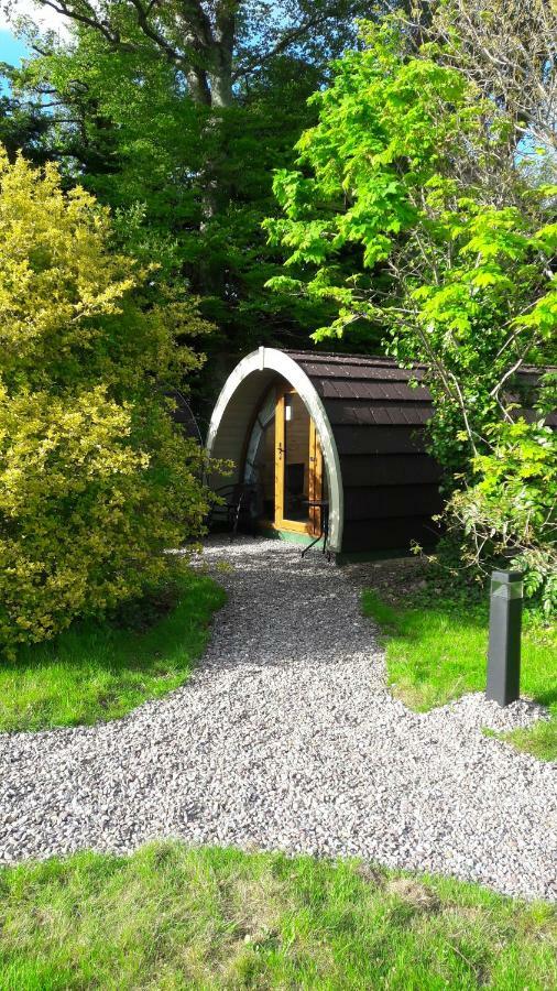 Campsite Priory Glamping Pods And Guest *