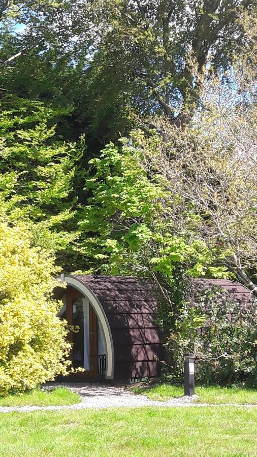 Campsite Priory Glamping Pods And Guest *
